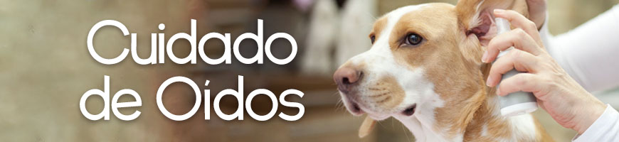 Cuidado de oídos para perros en Chile
