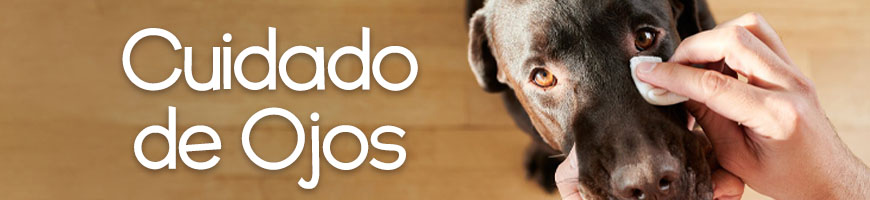 Cuidado de Ojos para Perros en Chile
