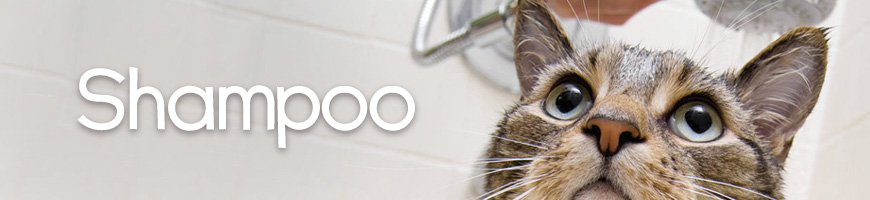 Shampoo y Colonias para gatos en Chile