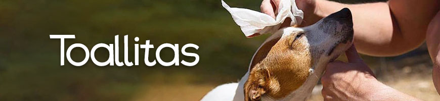 Toallitas húmedas para perros en Chile