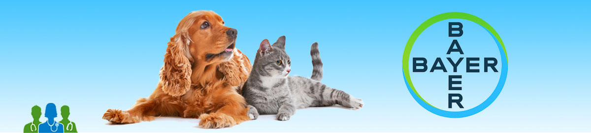 Bayer Veterinario para Perros y Gatos en Chile