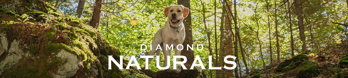 Diamond Naturals alimento holístico para perros y gatos