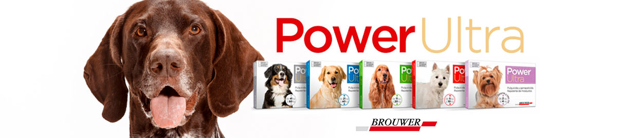 Power Ultra Antiparasitario para perros y gatos