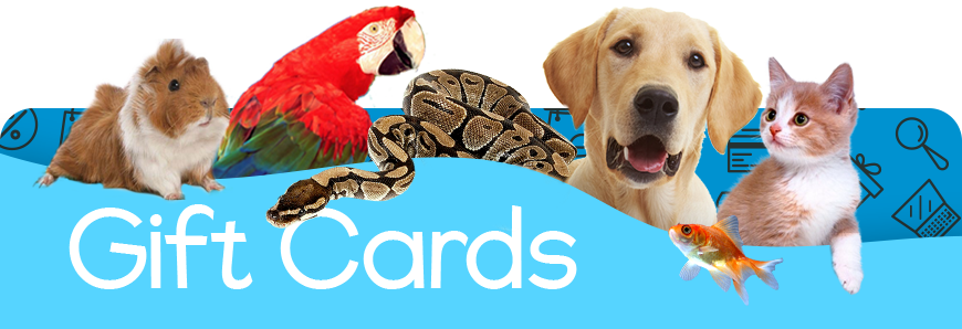Gift Card para Mascotas en Bigos